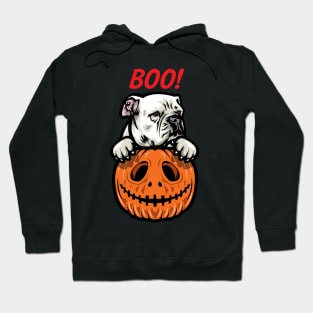 Halloween Pumpkin American Bulldog Hoodie